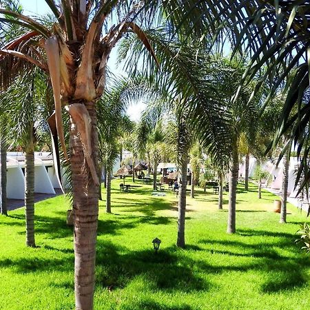 Assam Hotel Kenitra Zewnętrze zdjęcie